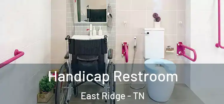Handicap Restroom East Ridge - TN