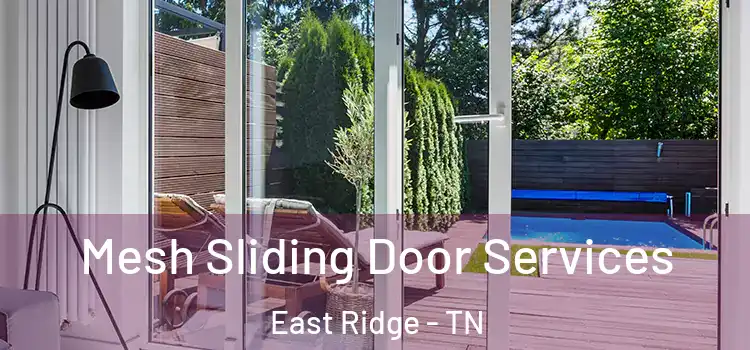 Mesh Sliding Door Services East Ridge - TN