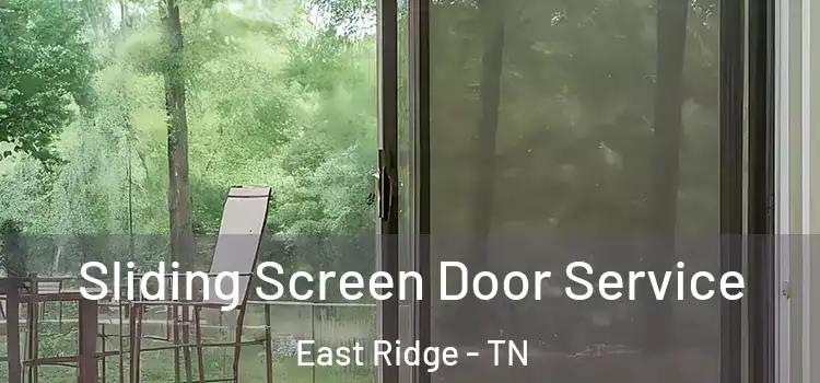Sliding Screen Door Service East Ridge - TN